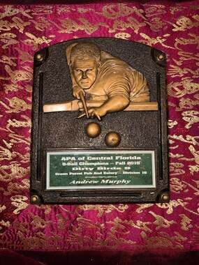 APA of Central Florida 9-Ball Champions Fall 2015 Billiards Trophy Plaque